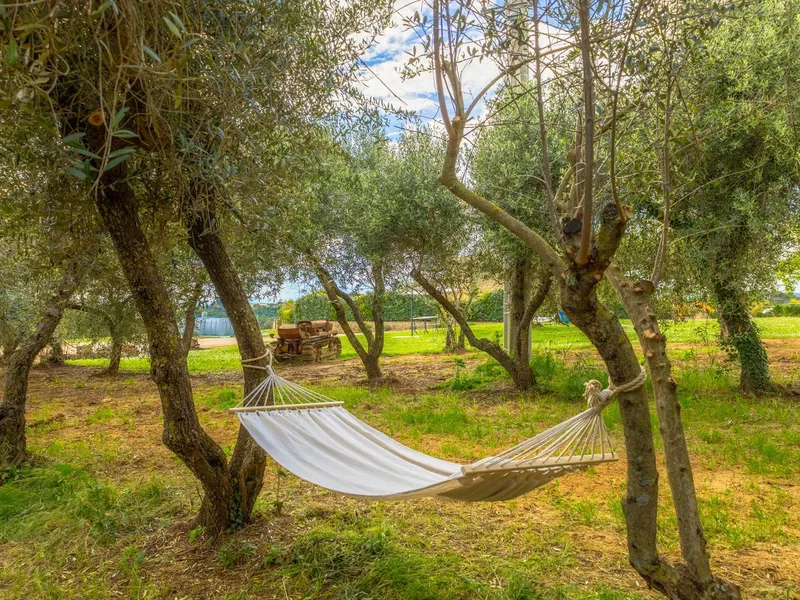 L'amaca tra gli ulivi secolari