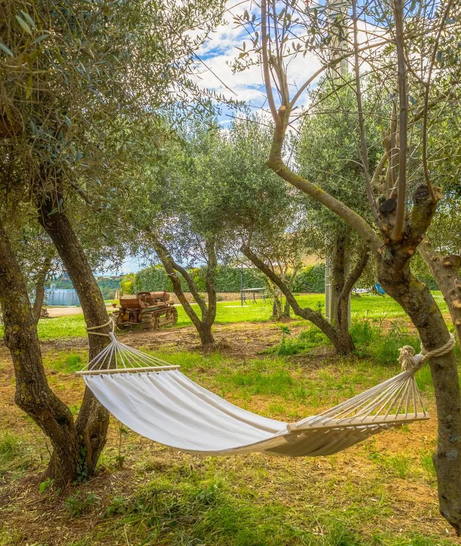 L'amaca tra gli ulivi secolari di Pascianella