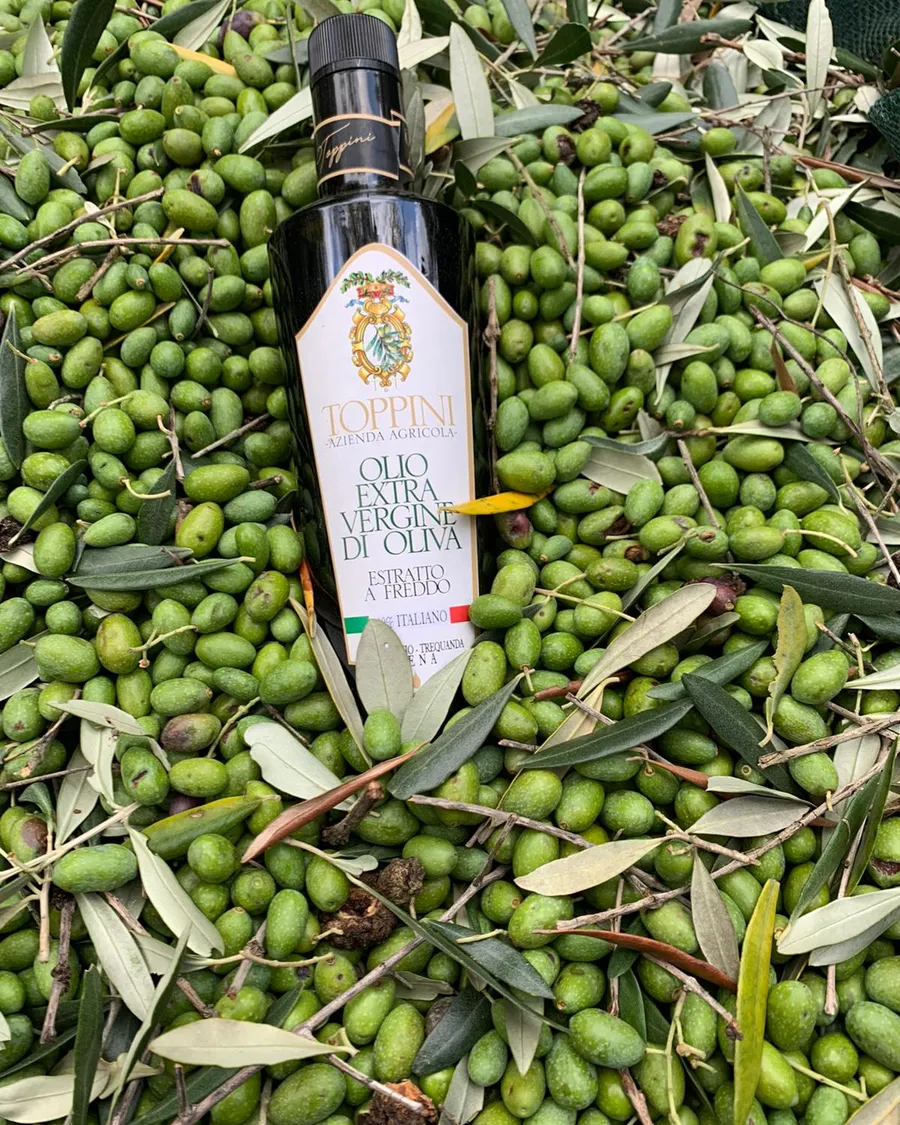 Una bottiglia di olio Toppini adagiata sulle olive appena raccolte